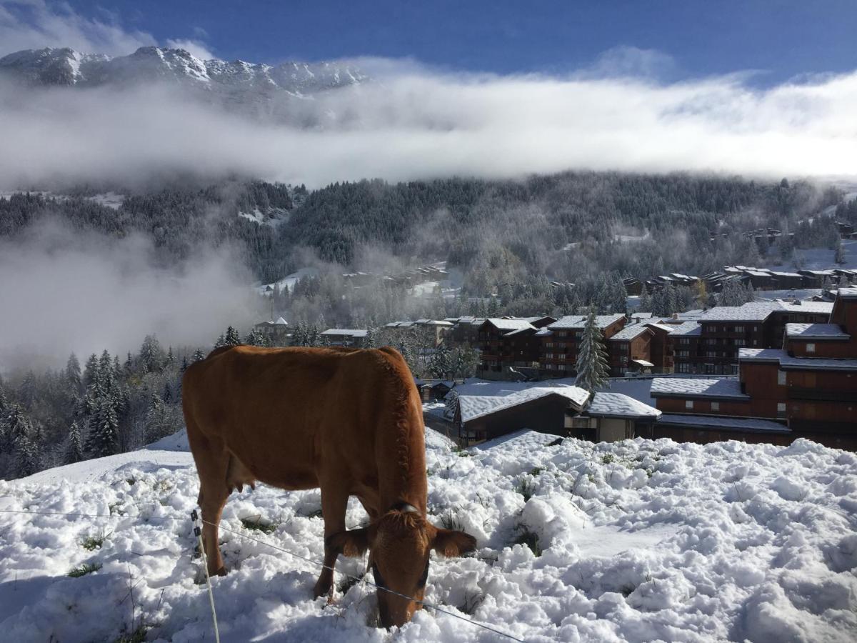 Le Mazot Chalet Lucie Apartman Valmorel Kültér fotó